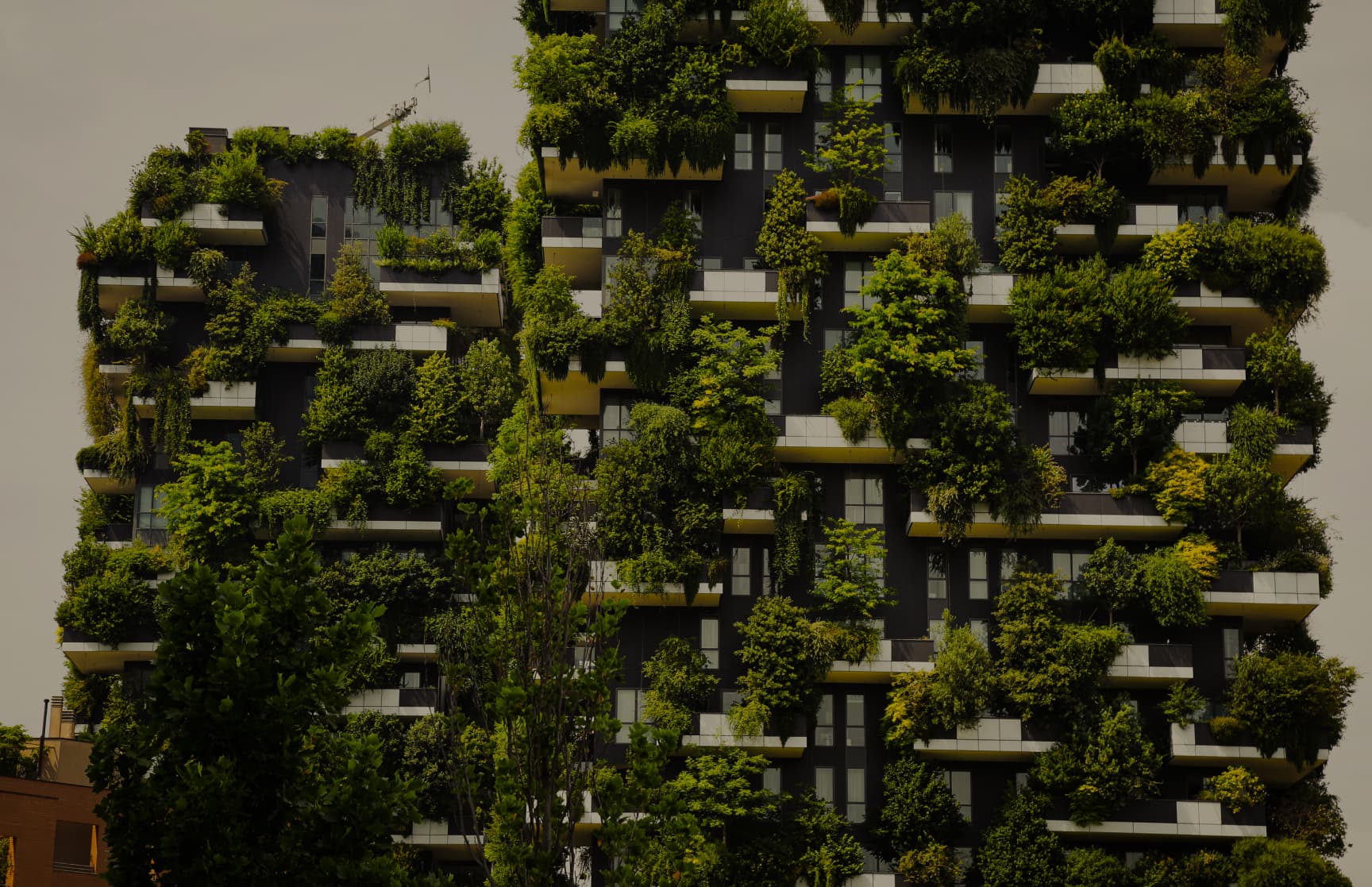 The Growing Relevance of Green Homes: A Timely Necessity in Today’s World